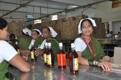 bottling-line-250x166 Die Überraschung aus Indien: Rye Whisky von Amrut Distilleries
