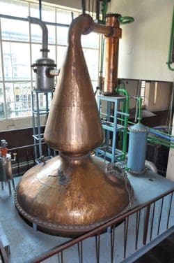 spirit-still-250x376 Die Überraschung aus Indien: Rye Whisky von Amrut Distilleries