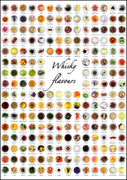 the-whisky-flavour-poster-250x353 Whisky Flavours: Poster mit Whisky-Aromen auf Kickstarter