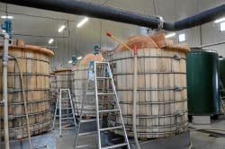 wash-backs-aus-mizunara-bei-250x166 Was macht Whisky aus Japan so besonders?